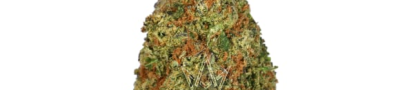 Trippy Wizard Dispensary: The Intersection of Quality and Variety in Cannabis