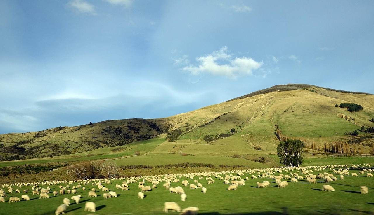 Nature, landscape, sky — Gaining Confidence in Handling Unexpected Situations Smoothly