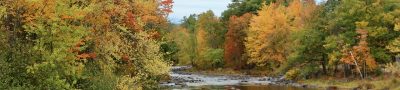 Fall, new england, new hampshire — Niche Edits and Content Synergy: A Dynamic Duo for SEO Triumph
