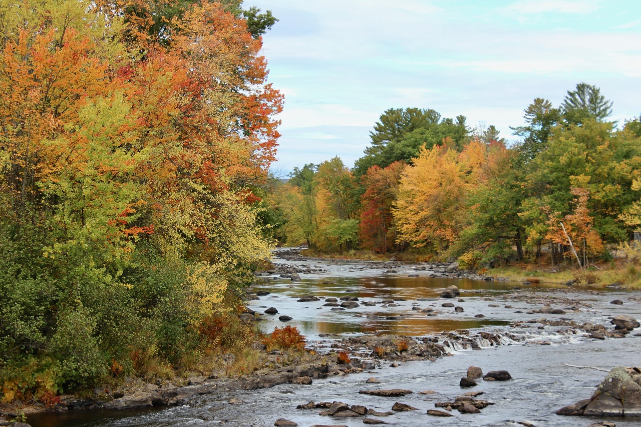 Fall, new england, new hampshire — Niche Edits and Content Synergy: A Dynamic Duo for SEO Triumph