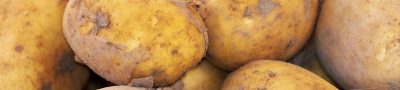 Potato, new harvest, nature — Urban Chic with Sleekly Designed Cast Iron Radiators
