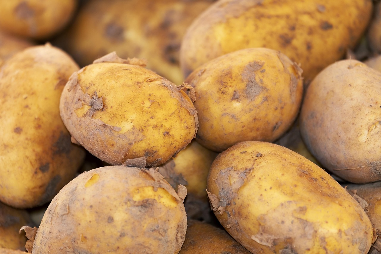 Potato, new harvest, nature — Urban Chic with Sleekly Designed Cast Iron Radiators