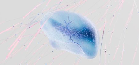 Abstract representation of a neural network or brain-like structure with colorful lines
