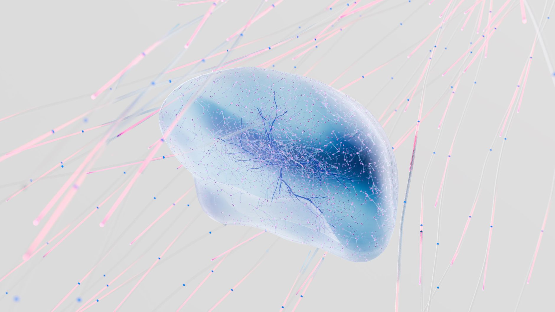 Abstract representation of a neural network or brain-like structure with colorful lines