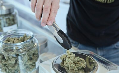 cannabis product selection